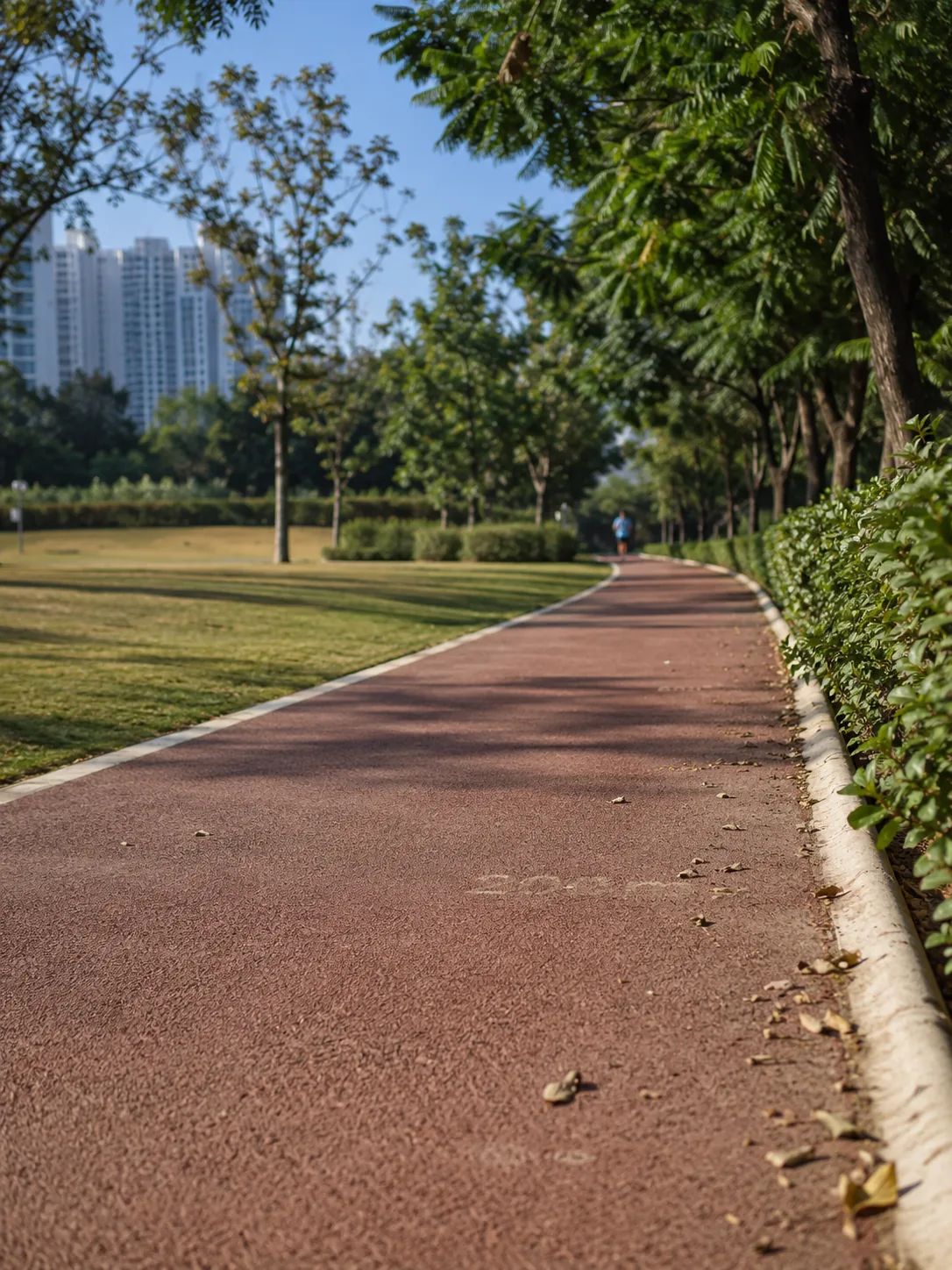 The jogging track, along the tree line.