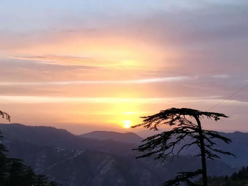 The sun going down behind the ranges, a deodar in silhouette.