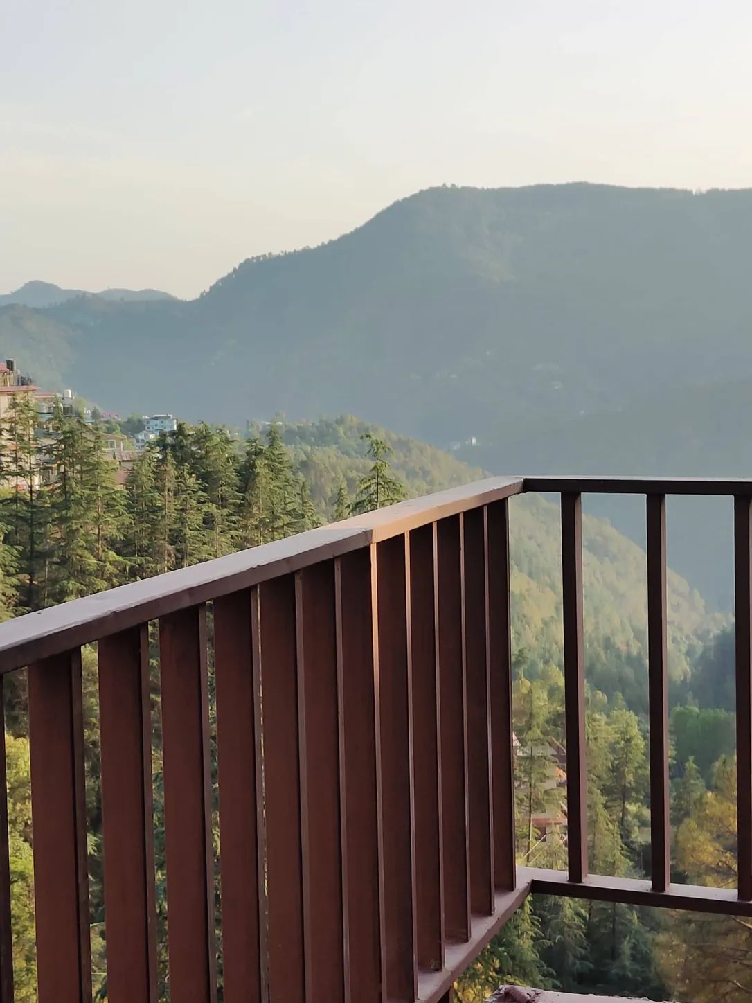 The view off a balcony on site, deodar running down to the valley.